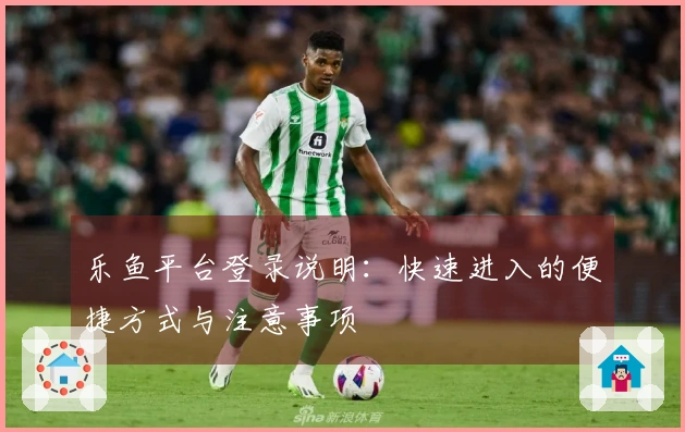 乐鱼平台登录说明:快速进入的便捷方式与注意事项