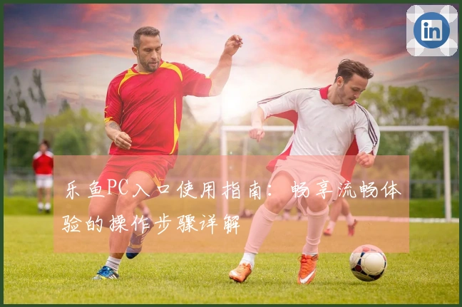 乐鱼PC入口使用指南：畅享流畅体验的操作步骤详解