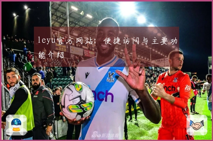leyu官方网站:便捷访问与主要功能介绍