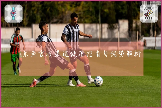 乐鱼官方渠道使用指南与优势解析