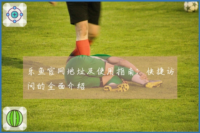 乐鱼官网地址及使用指南：快捷访问的全面介绍