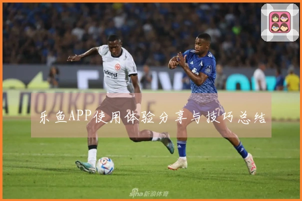 乐鱼APP使用体验分享与技巧总结