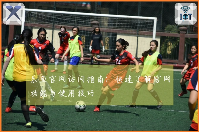 乐鱼官网访问指南：快速了解官网功能与使用技巧