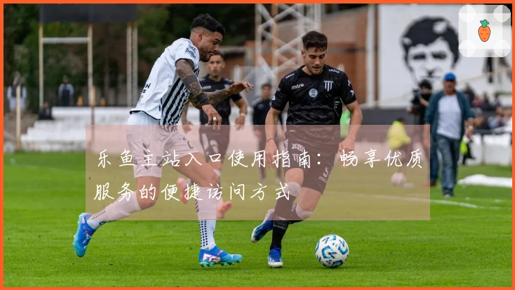 乐鱼主站入口使用指南：畅享优质服务的便捷访问方式