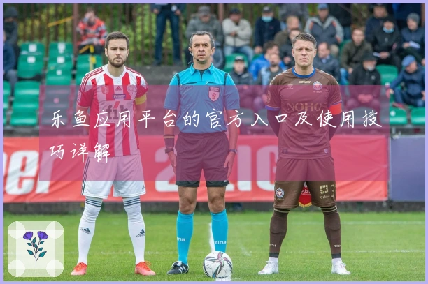 乐鱼应用平台的官方入口及使用技巧详解